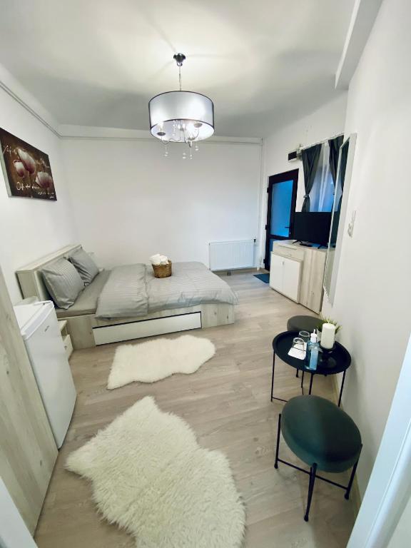 Central Amelie Apartment room 1