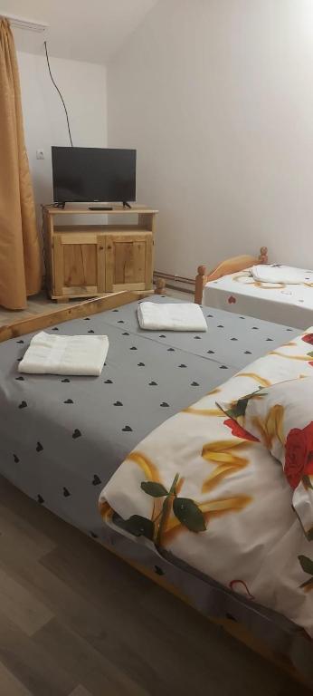 Pensiunea Elena Andreea room 2