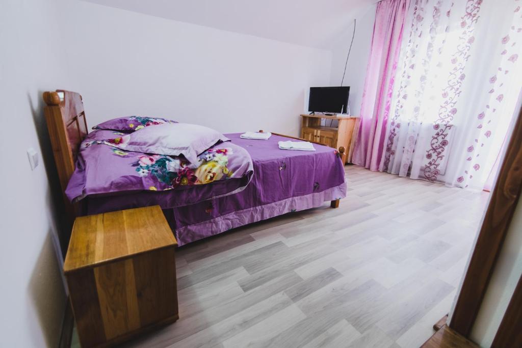 Pensiunea Elena Andreea room 5