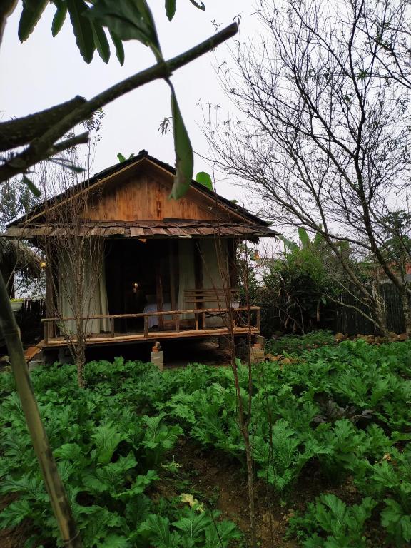 Anh Duc Homestay room 3