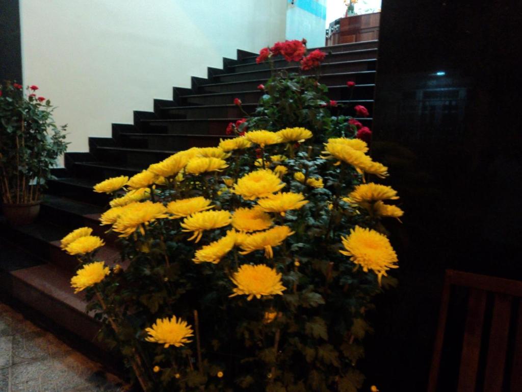 An Phuc Hotel room 5