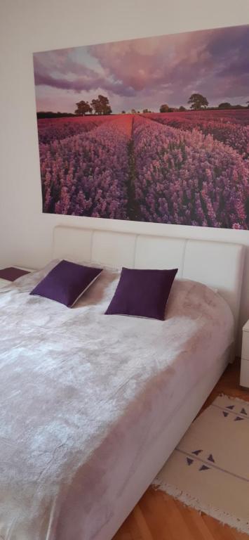 Apartmani Amira Trebinje room 5