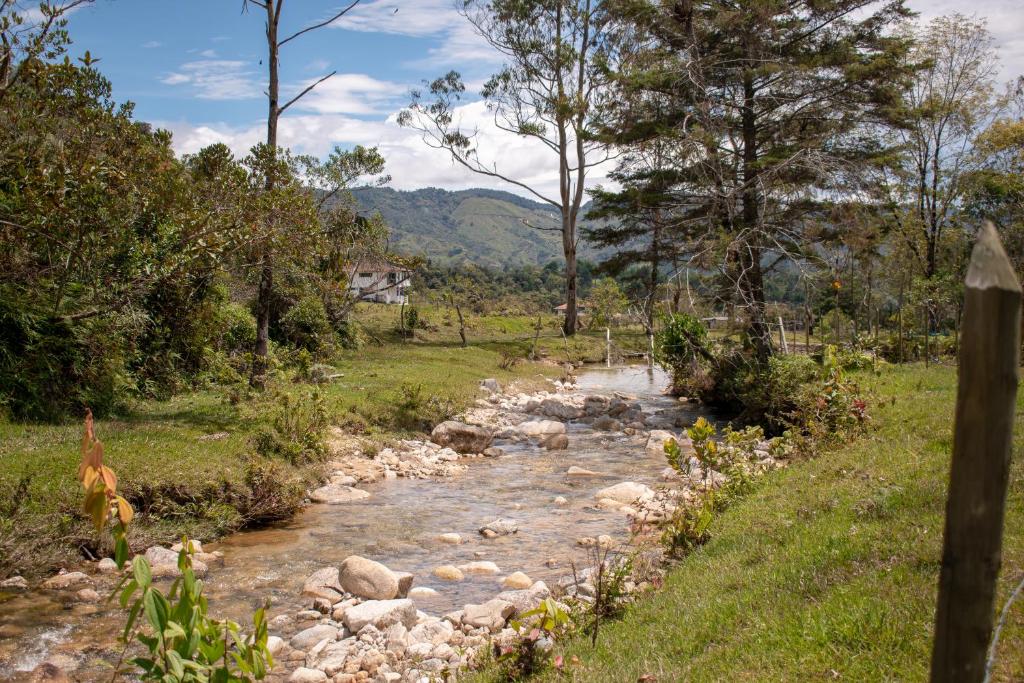 Artesanos y Turistas room 5