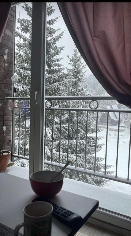 Apartman Bambi Vlašić room 6