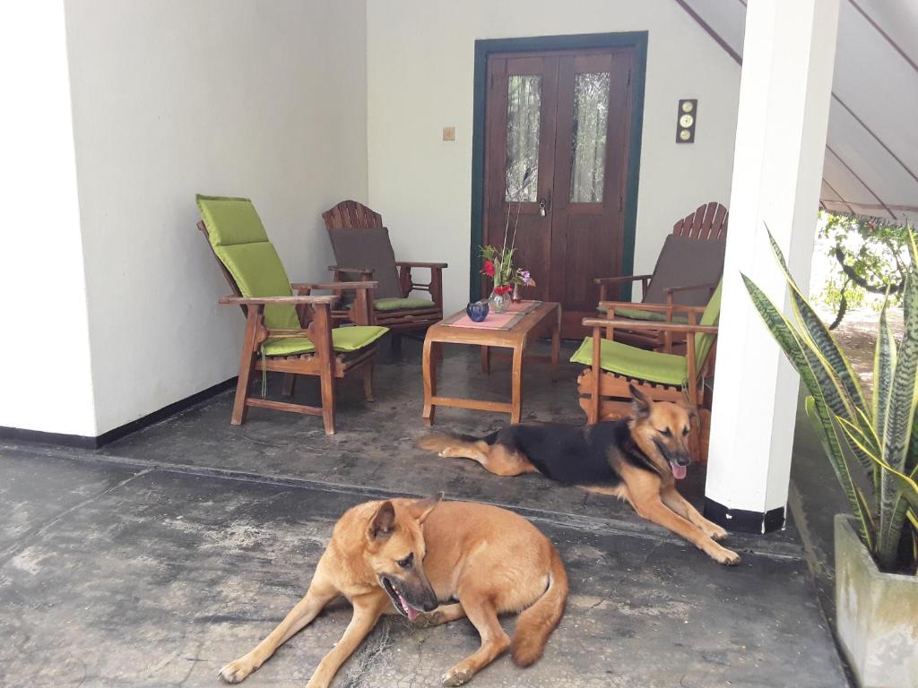Suduweli Beauties of Nature room 4