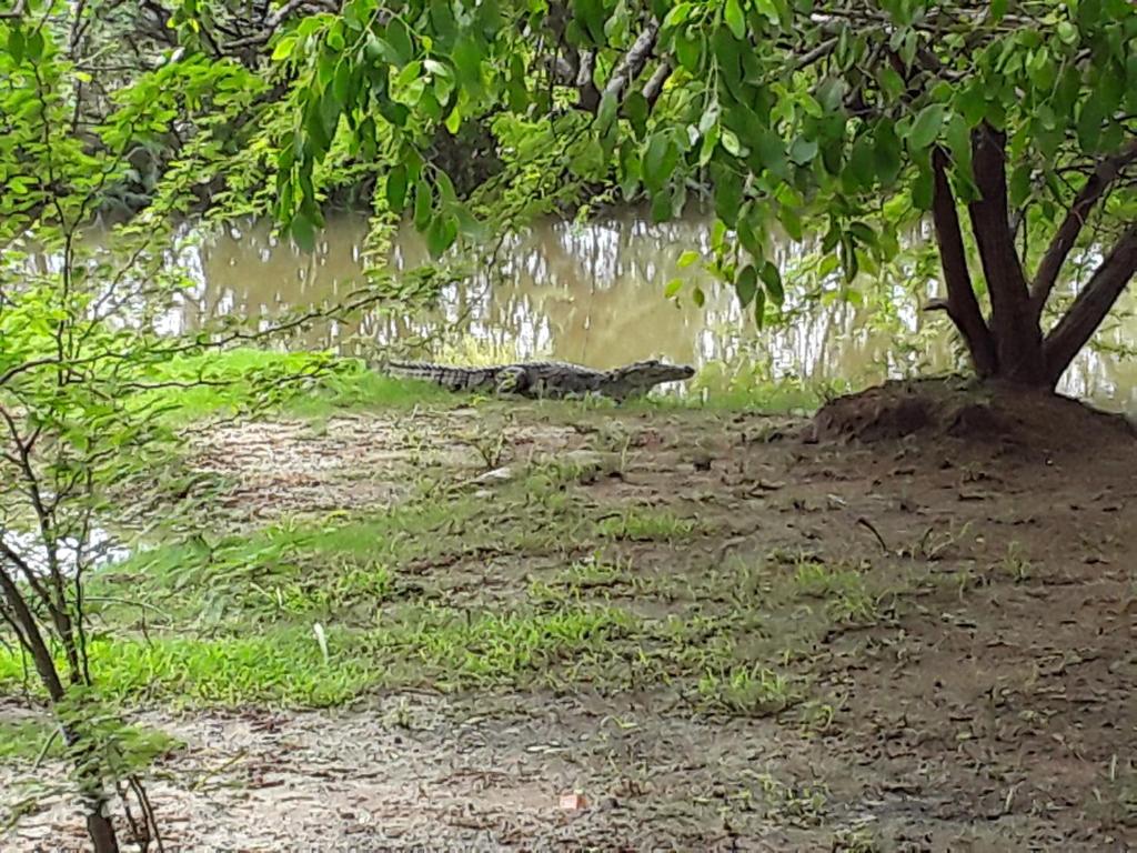 Suduweli Beauties of Nature room 6