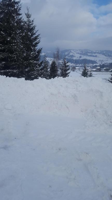 Bonita Chalet room 1