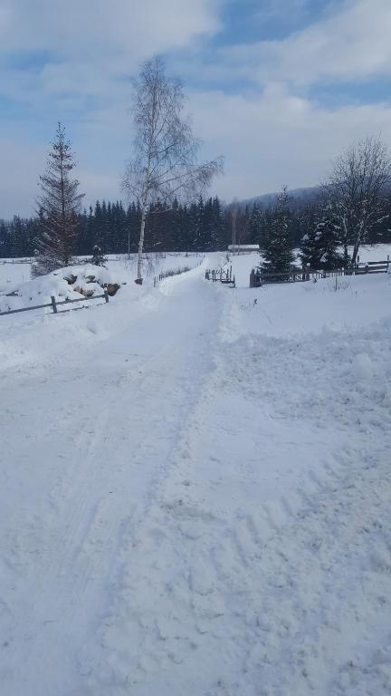 Bonita Chalet room 2