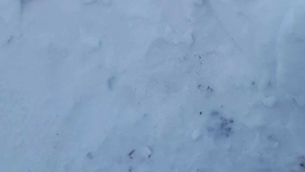 Bonita Chalet room 3