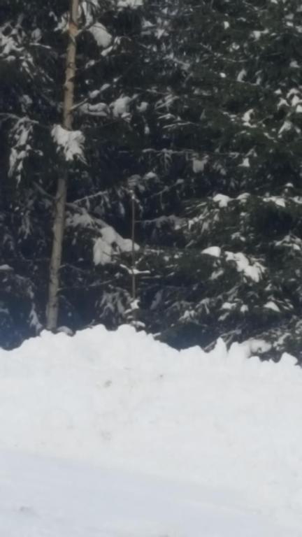 Bonita Chalet room 6