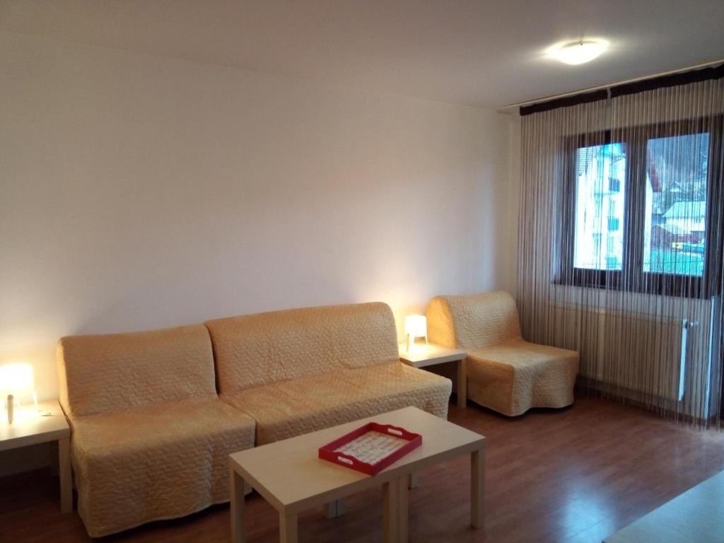 Apartamentul Brandusa room 3