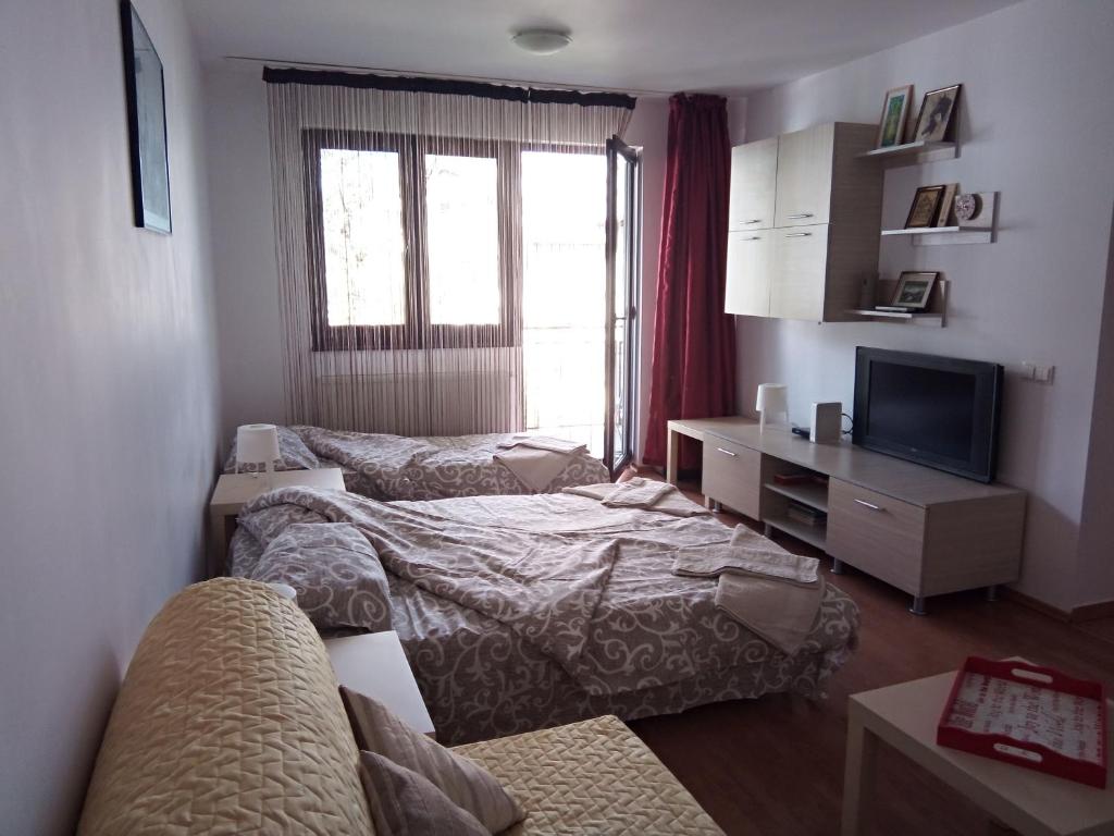 Apartamentul Brandusa room 5