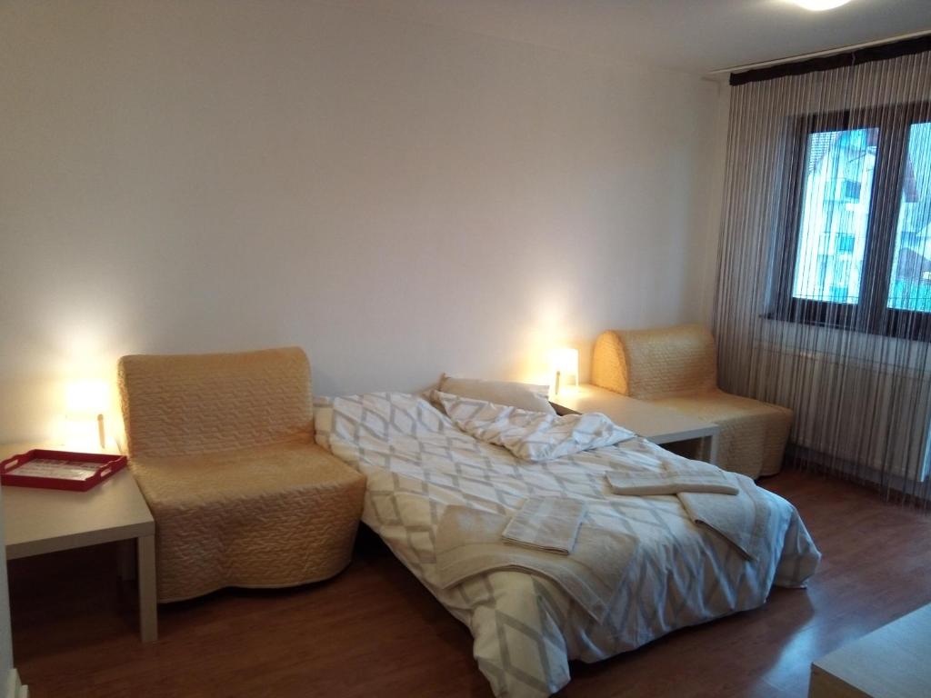 Apartamentul Brandusa room 6