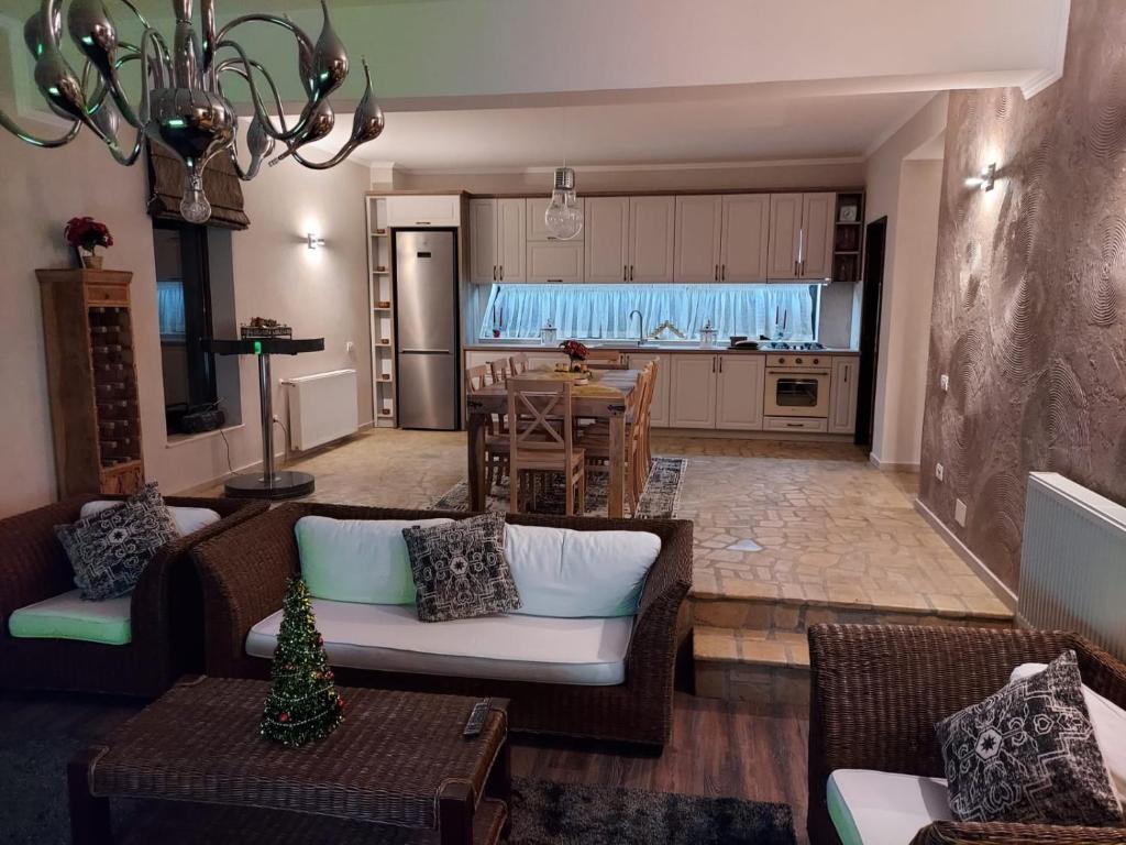Luxury Mansion Brezoi room 1