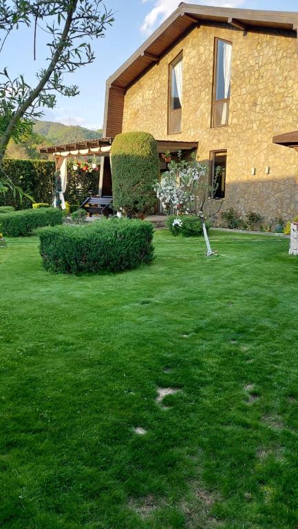 Luxury Mansion Brezoi room 3