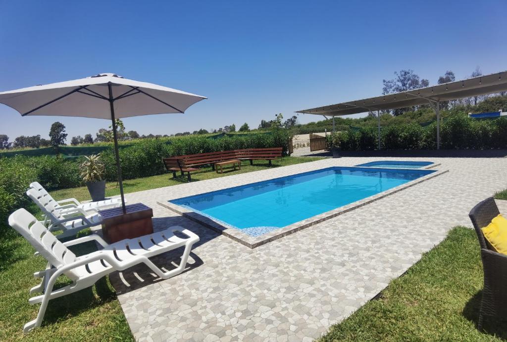 Bungalow Sol del Sur room 2