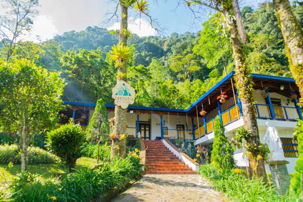 FINCA HOTEL CARMONIA DEL BOSQUE room 1