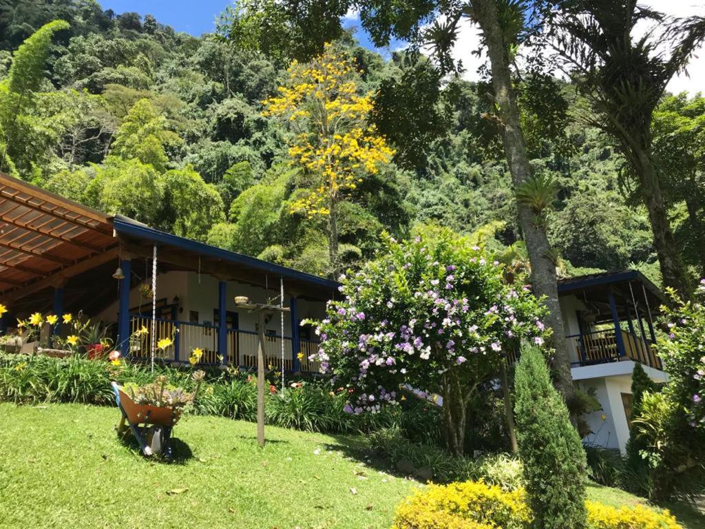 FINCA HOTEL CARMONIA DEL BOSQUE room 4
