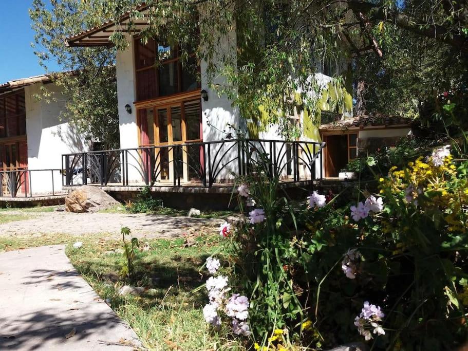Casiopea Villas, lovely place amazing location! room 6