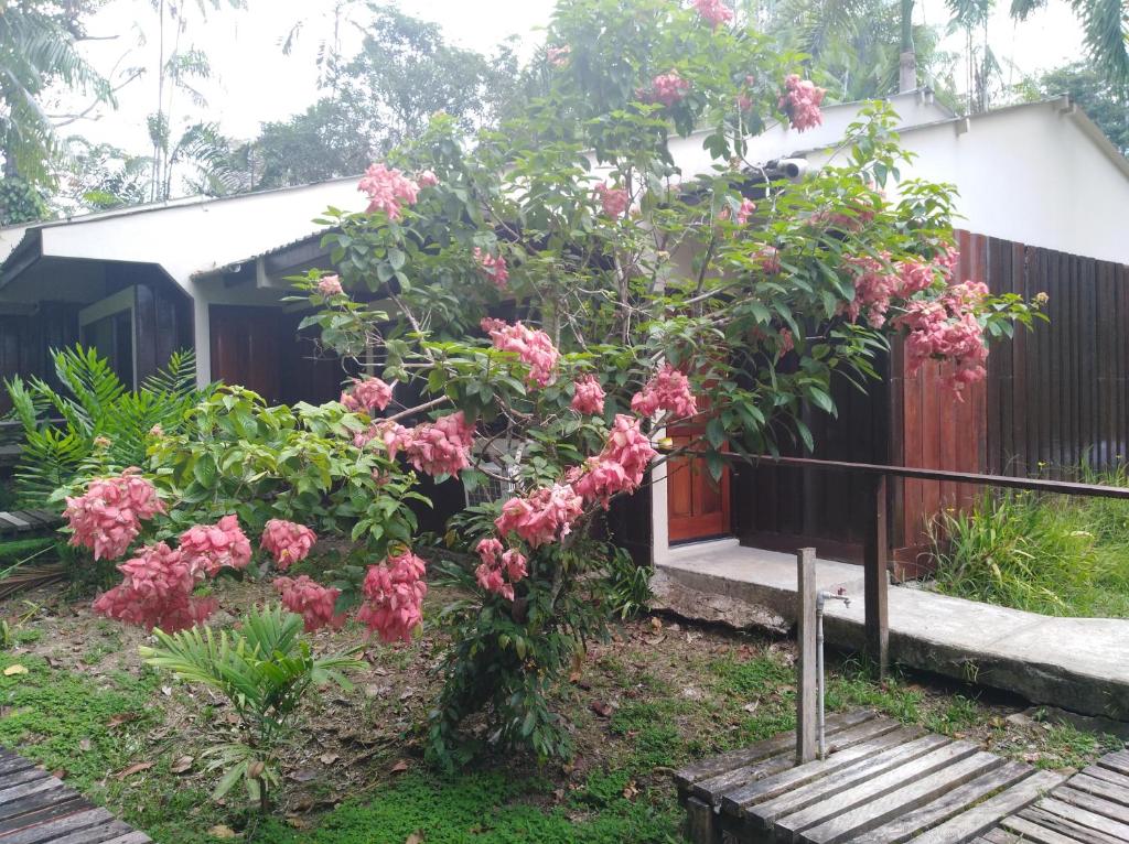Ceiba Tops room 1