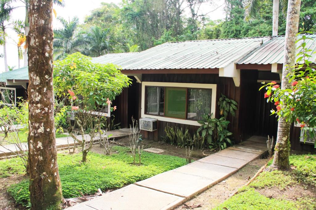 Ceiba Tops room 2