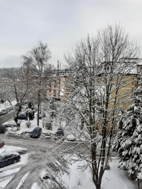 Apartament Ultra Central Marly Gura Humorului room 2