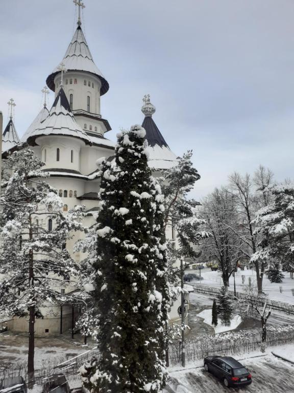 Apartament Ultra Central Marly Gura Humorului room 3