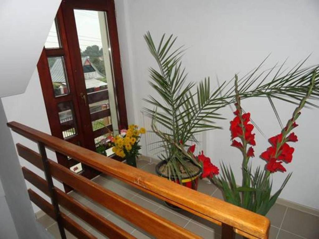 Pensiunea Cristina Racova room 4