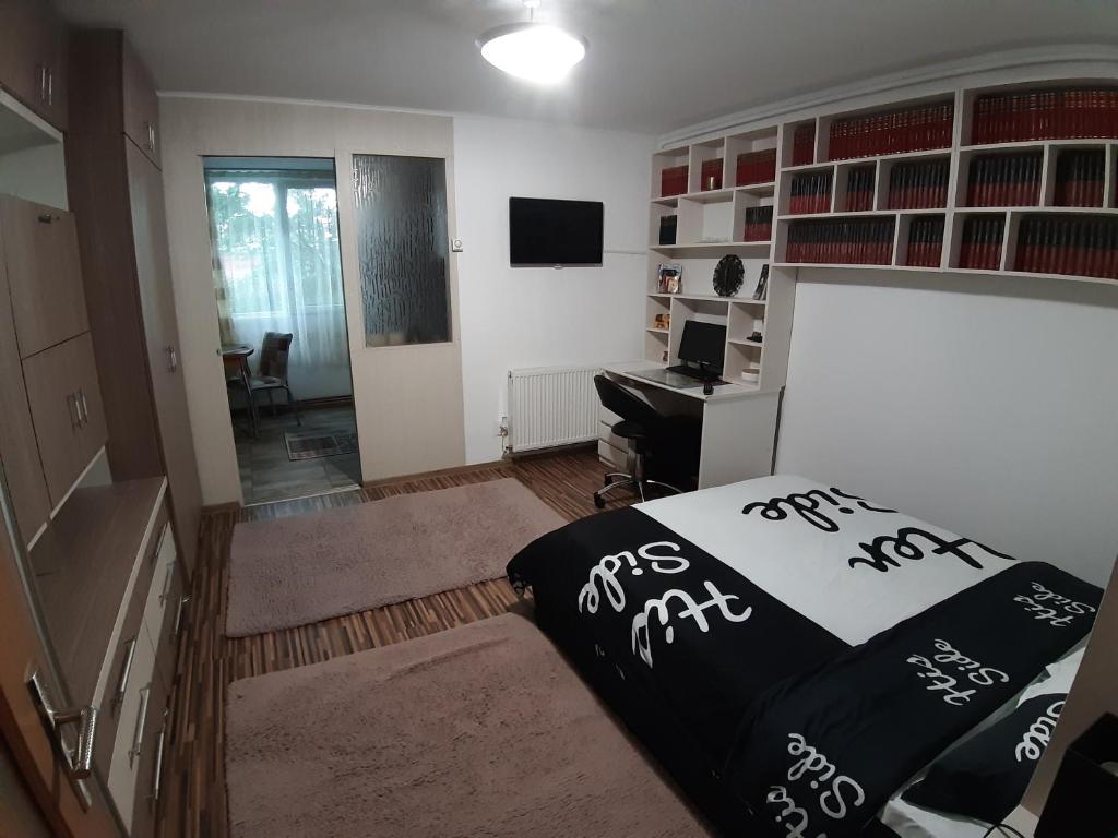 Apartament Dacia room 5