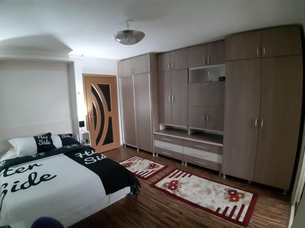 Apartament Dacia room 6