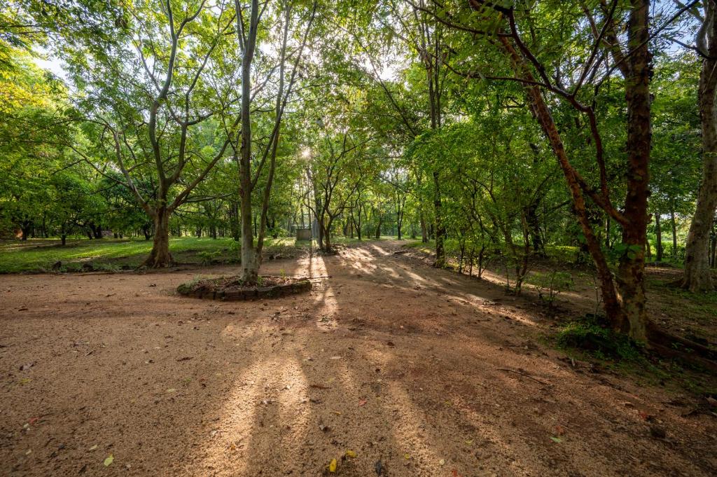 The River House Dambulla by The Serendipity Collection room 3