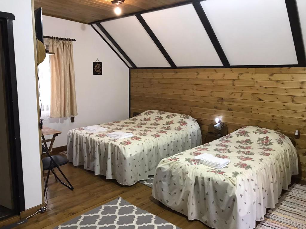 Pensiunea Păstrăvul de Aur – Photos 3