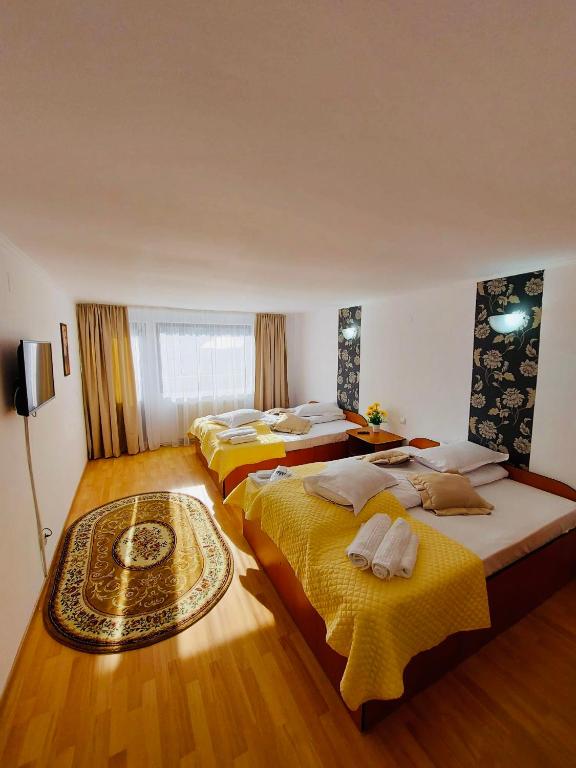 Pensiunea DEDU room 4