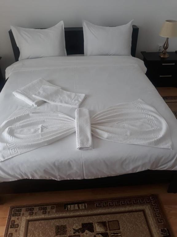 pensiunea delta ideal room 5