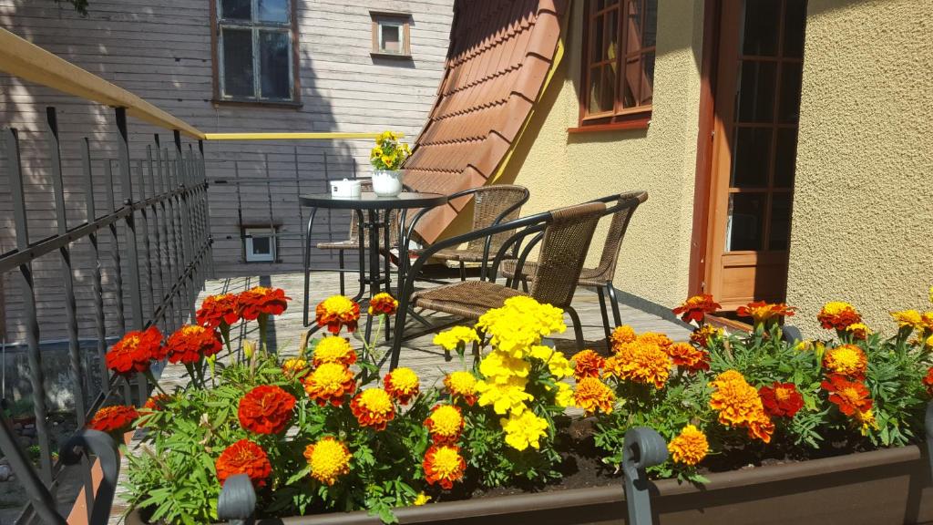 Deluxe Apartments in the city center with Balcony room 2