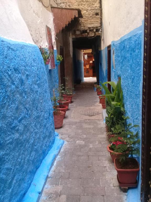 Dar Saida room 1
