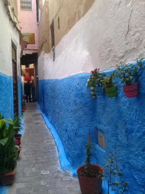 Dar Saida room 2