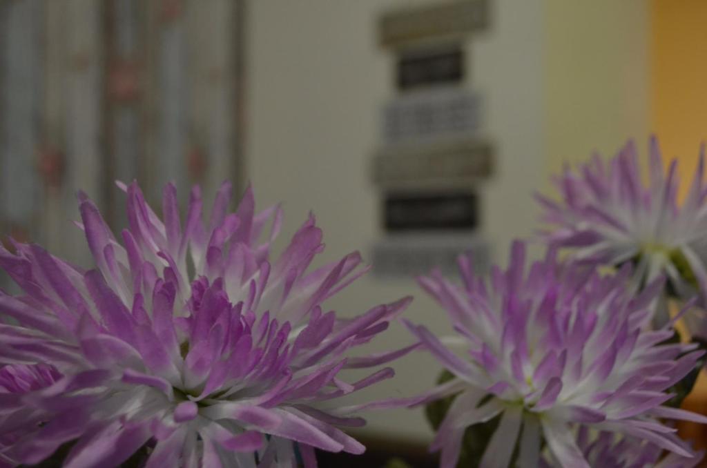 Dhabi Sweet Home room 3