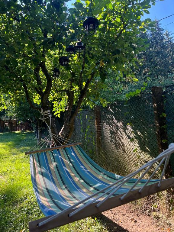 Cabana dintre Brazi room 1