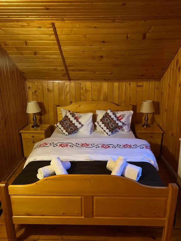 Cabana dintre Brazi room 5