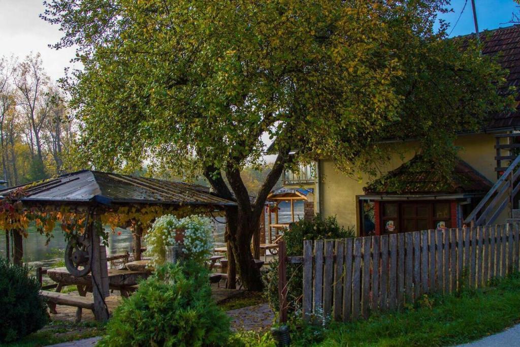 Bed and Breakfast Family Djukic room 1