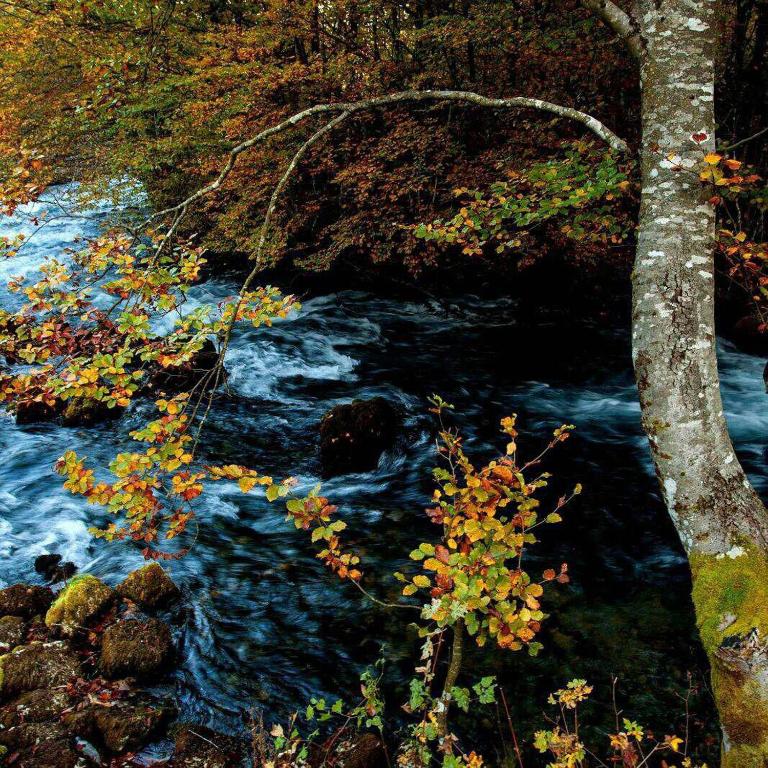 Bed and Breakfast Family Djukic room 2