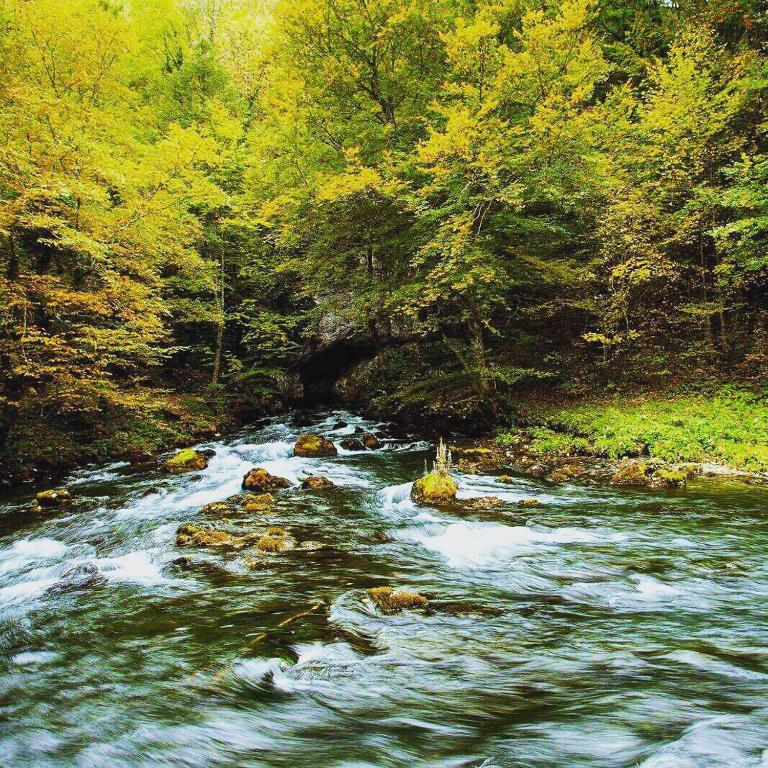 Bed and Breakfast Family Djukic room 4