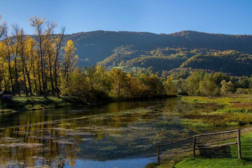 Bed and Breakfast Family Djukic room 5