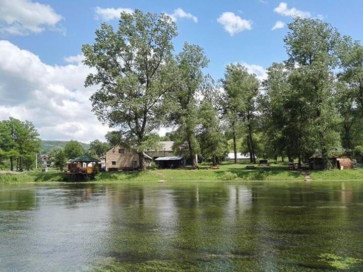 Bed and Breakfast Family Djukic room 6