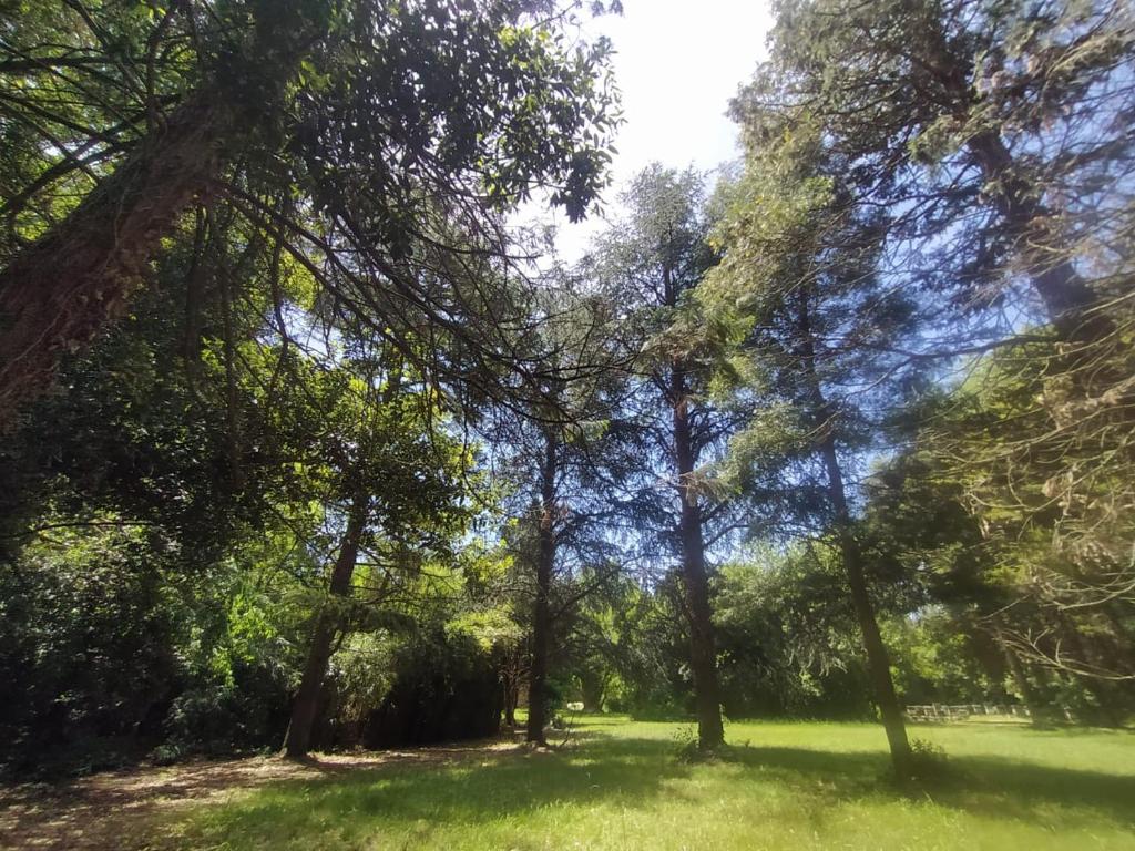 Compartiendo el paraiso room 3