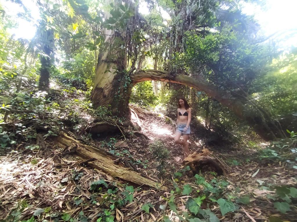 Compartiendo el paraiso room 4