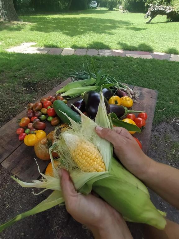 Compartiendo el paraiso room 5