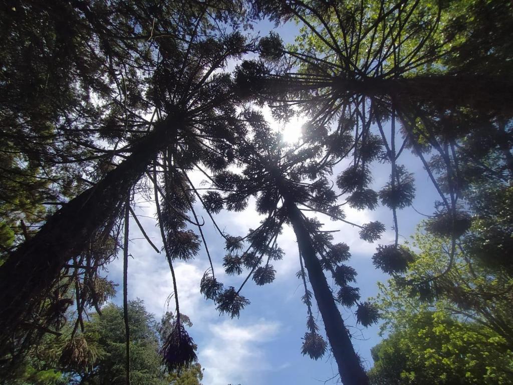 Compartiendo el paraiso room 6