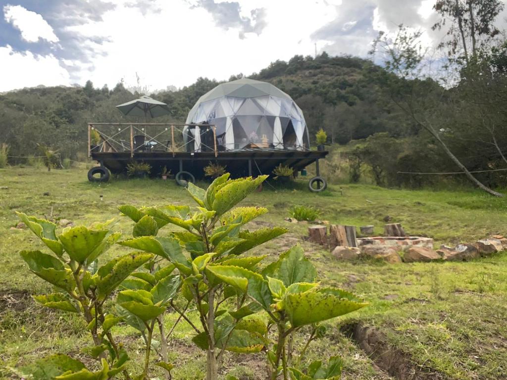 Glamping El Refugio room 6